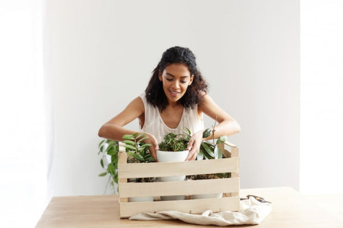 Wood as a Medium for Sustainable Home Design Solutions