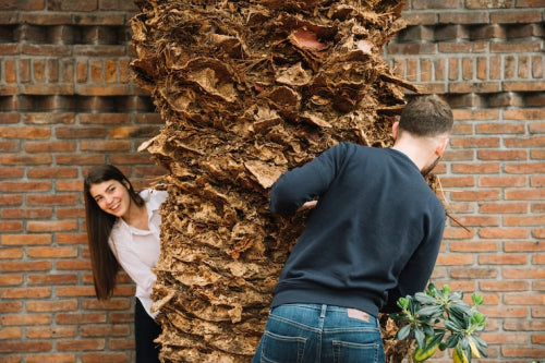 Burled Wood Making a Modern Comeback