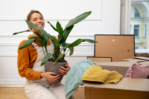Canadian Consumers Embrace Eco-Friendly Furniture Choices