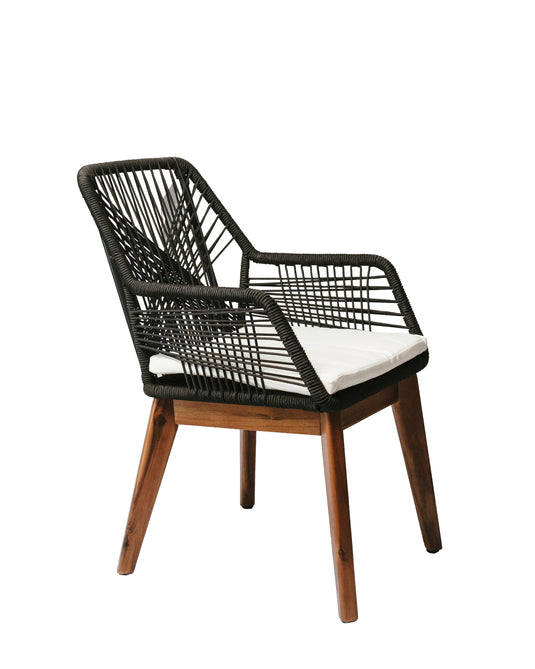 Terra Outdoor Chair (Set of 2)