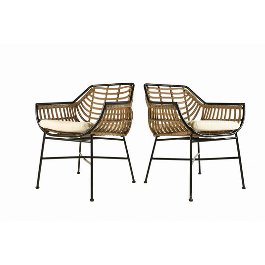 Aster Outdoor Dining Chair (Set of 2)