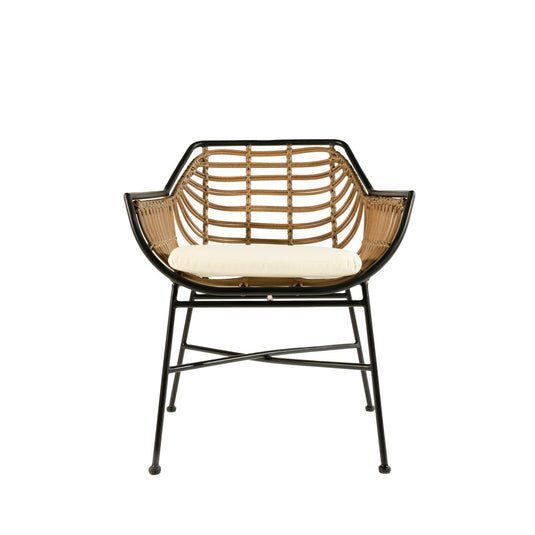 Aster Outdoor Dining Chair (Set of 2)