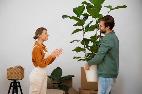 The Growing Role of Sustainability in Furniture Buying Decisions
