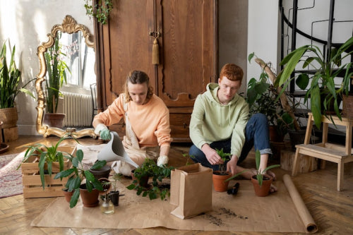 The Evolving Role of Custom Furniture in Sustainable Urban Living