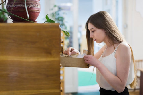 Exploring Sustainable Wood Options for Long-Lasting Furniture