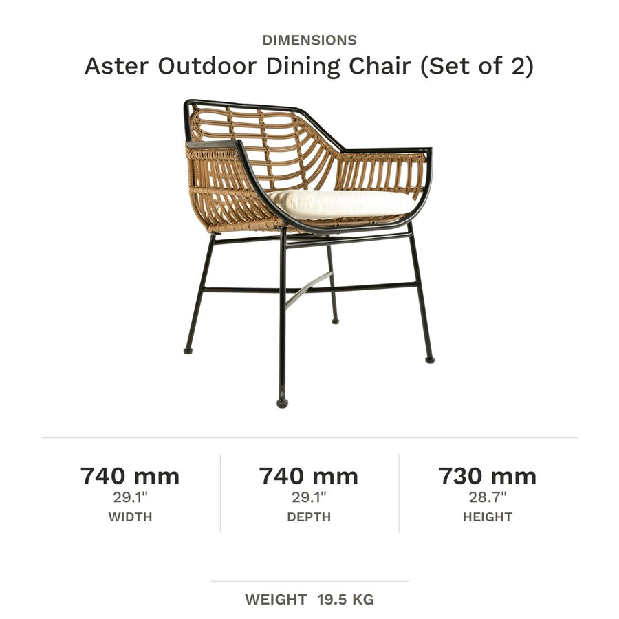 Dimension drawing for Aster Outdoor Dining Chair (Set of 2)